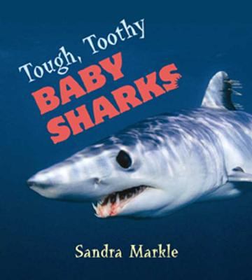 Tough, toothy baby sharks /