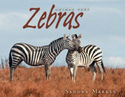 Zebras /