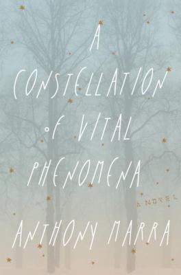 A constellation of vital phenomena : a novel /
