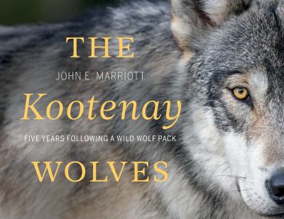 The Kootenay wolves : five years following a wild wolf pack /