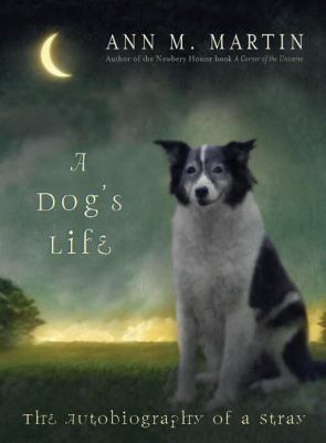 A dog's life : the autobiography of a stray /