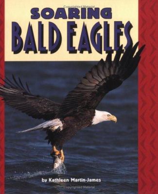 Soaring bald eagles /
