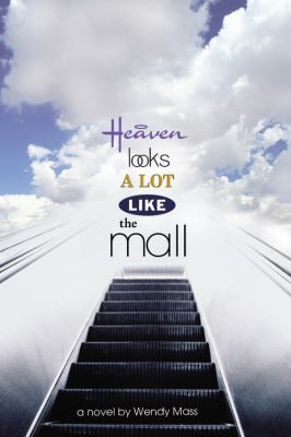 Heaven looks a lot like the mall : a novel /
