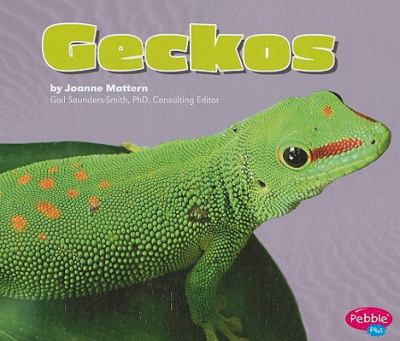 Geckos /
