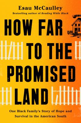How far to the promised land : one Black family's story of hope and survival in the American South /