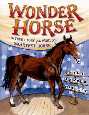 Wonder horse /