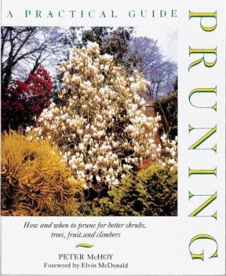Pruning : a practical guide /