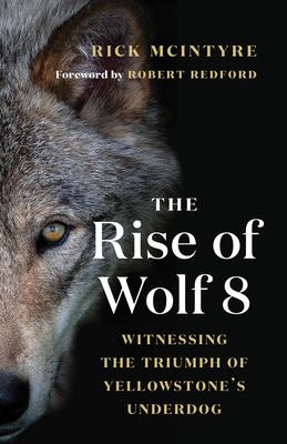 Rise of wolf 8 : witnessing the triumph of Yellowstone's underdog /