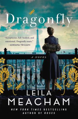 Dragonfly [large type] : a novel /