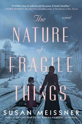The nature of fragile things /