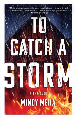 To catch a storm : a novel /