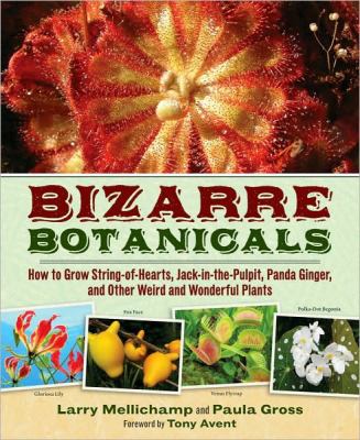 Bizarre botanicals : how to grow string-of-hearts, jack-in-the-pulpit, panda ginger, and other weird and wonderful plants /
