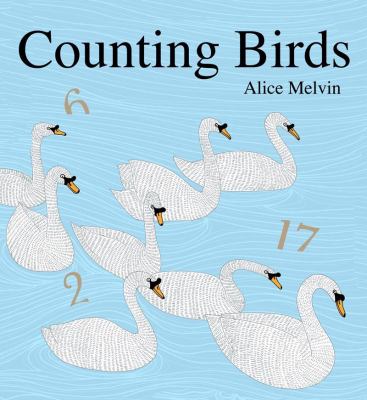 Counting birds /