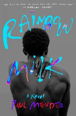 Rainbow milk : a novel /