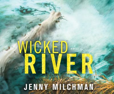 Wicked river [compact disc, unabridged] : a novel /