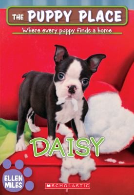 Daisy /