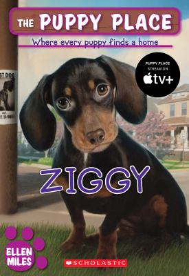 Ziggy /