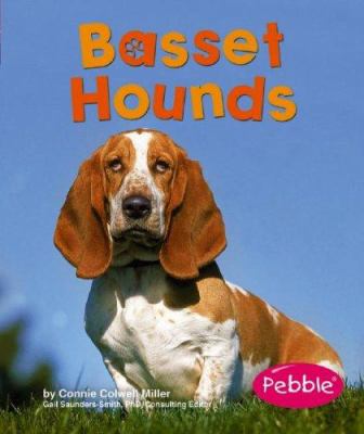 Basset hounds /