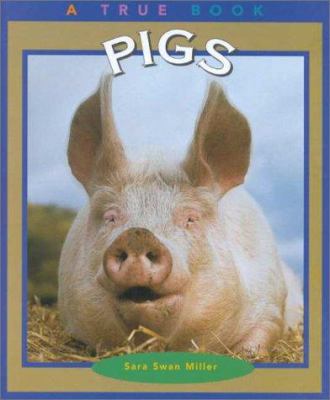 Pigs /