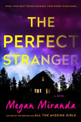 The perfect stranger [large type] : a novel /