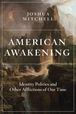 American awakening : identity politics and other afflictions of our time /