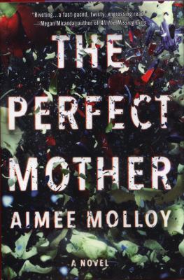 The perfect mother : a novel /