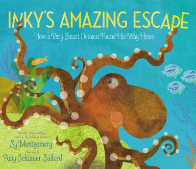 Inky's amazing escape : how a very smart octopus found his way home /