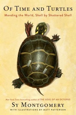 Of time and turtles : mending the world, shell by shattered shell /