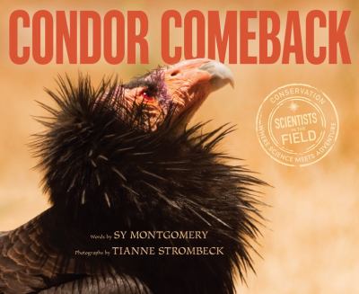 Condor comeback /