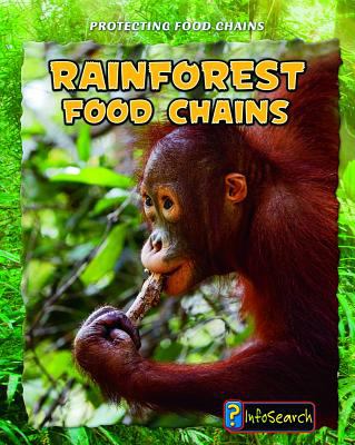Rain forest food chains /