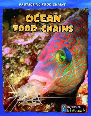 Ocean food chains /