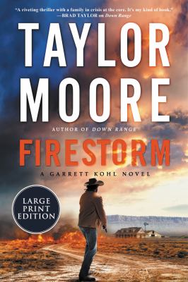 Firestorm : [large type] a novel /