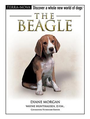 The Beagle /