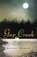 Gap Creek : a novel /