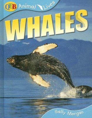 Whales /