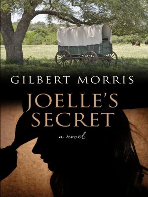 Joelle's secret [large type] /