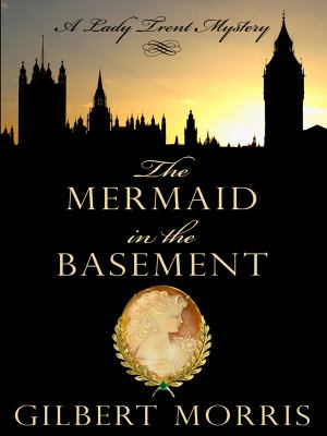 The mermaid in the basement [large type] /
