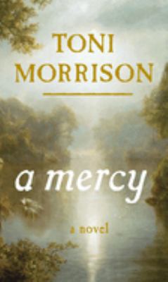 A mercy : a novel /