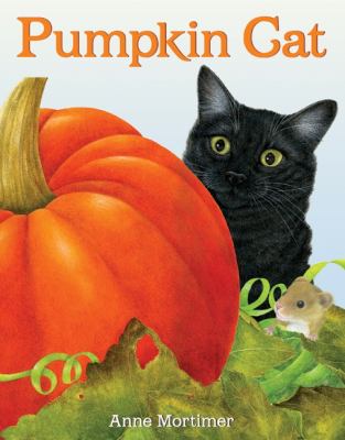 Pumpkin cat /