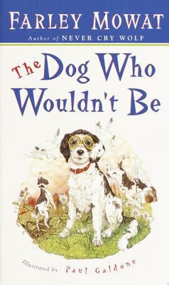 The dog who wouldn't be /
