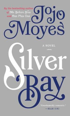 Silver Bay [large type] : a novel /