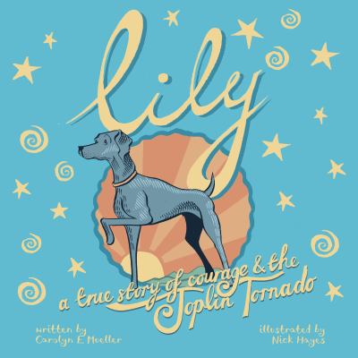 Lily : a true story of courage & the Joplin tornado /