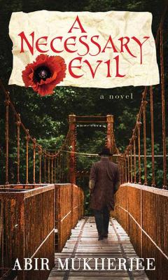 A necessary evil : [large type] / a novel /