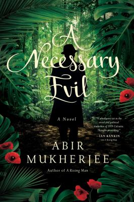 A necessary evil : a novel /