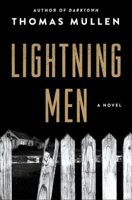Lightning men [large type] : a novel /