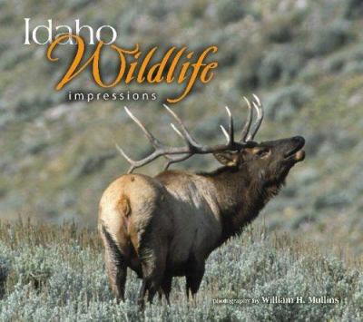 Idaho Wildlife Impressions /