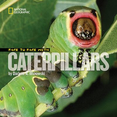 Face to face with caterpillars /