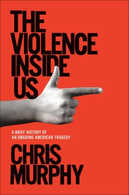 The violence inside : a brief history of an ongoing American tragedy /