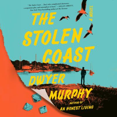 The stolen coast [eaudiobook] : A novel.
