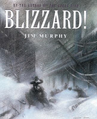 Blizzard : the storm that changed America /